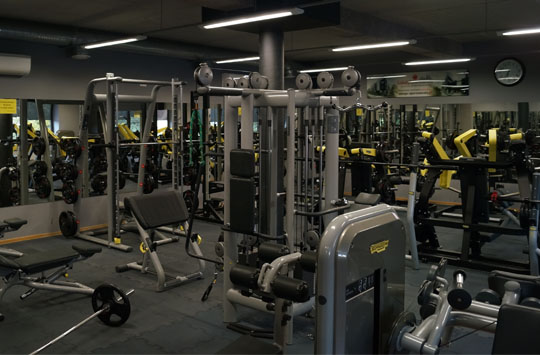 Image 4